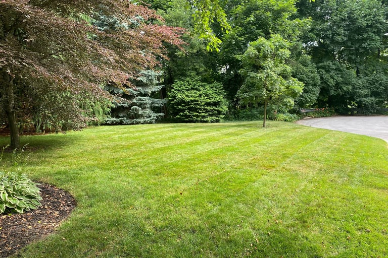 Professional lawn mowing results with neat and tidy finish