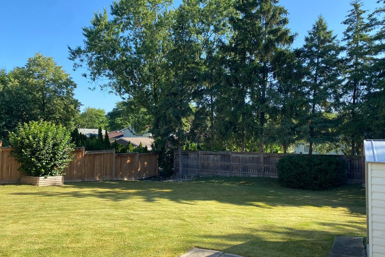 Neatly trimmed grass after professional lawn mowing