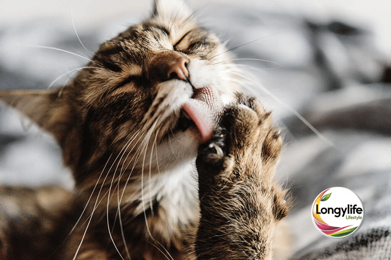 Calma e Relax PET Longylife integratori