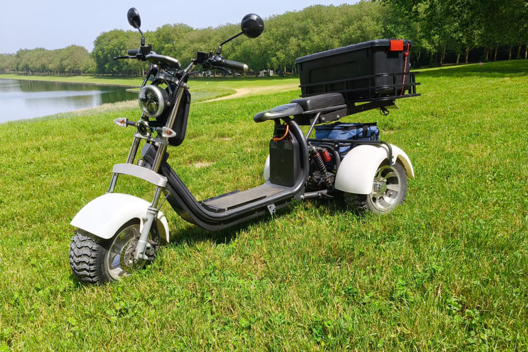 moteur scooter électrique 3 roues autonomie et puissance