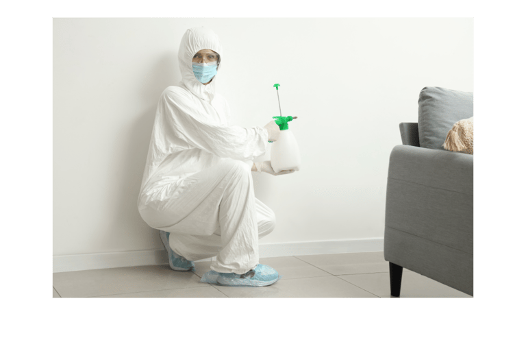 Mold Remediation Professional