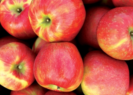 barrel of honeycrisp apples