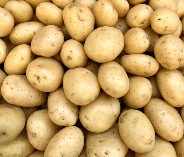 new potatoes in a pile