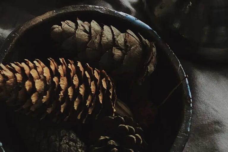 pine cones in bowl for a rustic fall simple decor