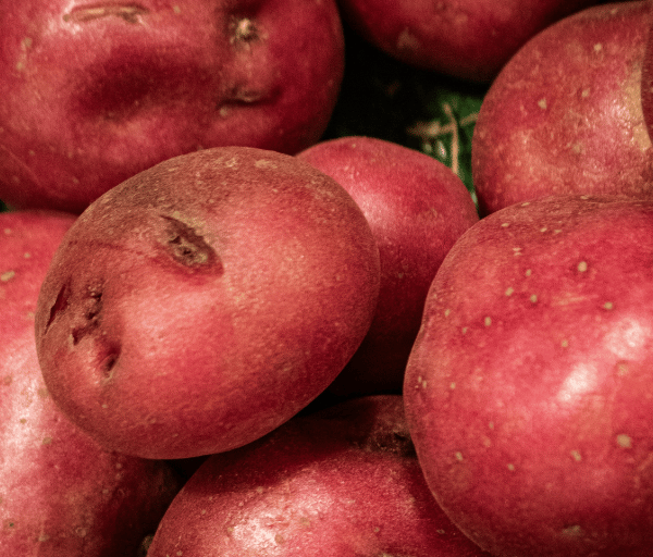 bunch of red potatoes