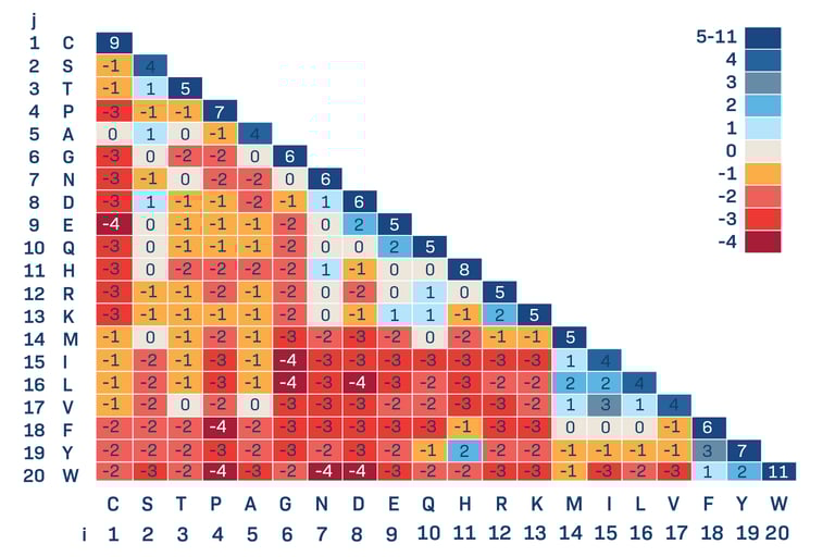BLOSUM62 Amino Acid Scoring Matrix