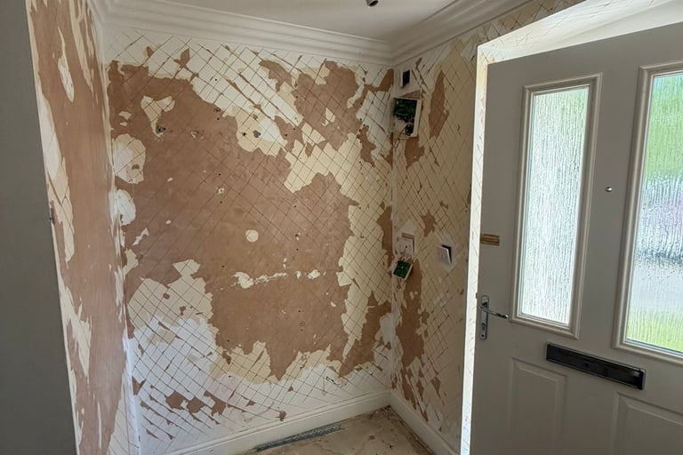 Entrance before we plastered.