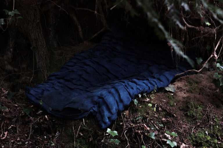 karine-nguyen-van-tham-le creux de lermite-matelas sculpté-in situ paysage