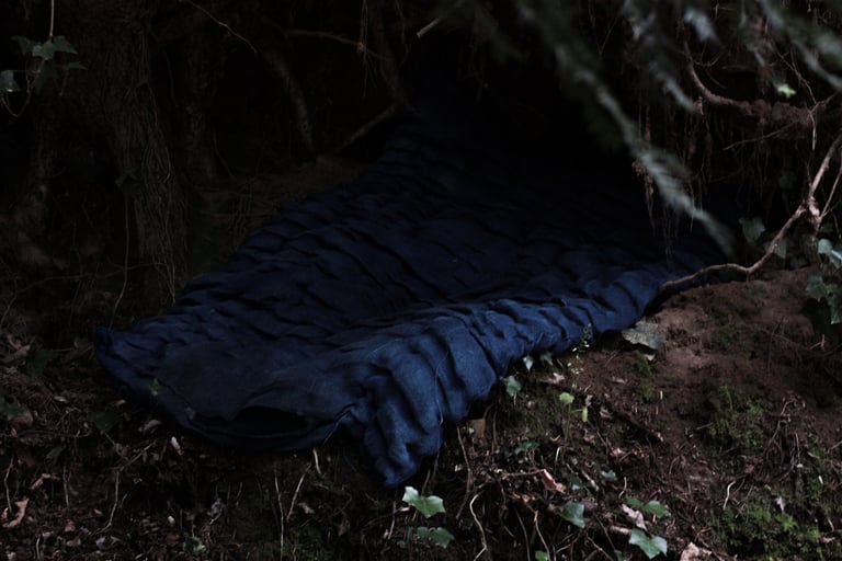 the hermit's hollow in its natural place