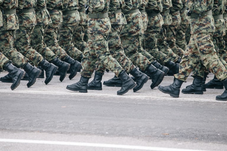 Curso de introducción a la seguridad nacional del ILEES