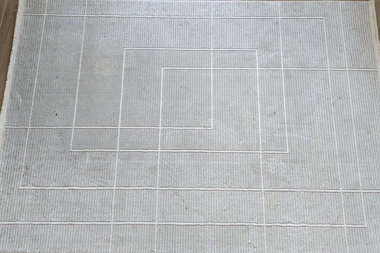 Photo avant nettoyage tapis