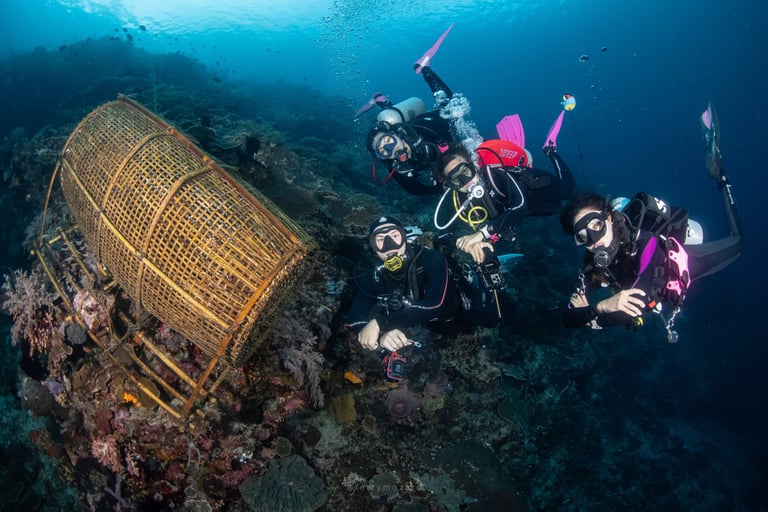 divers next to a fish trap in alor 