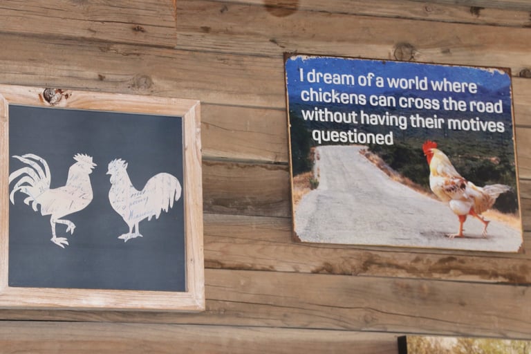 Hopefully these chickens will find their way