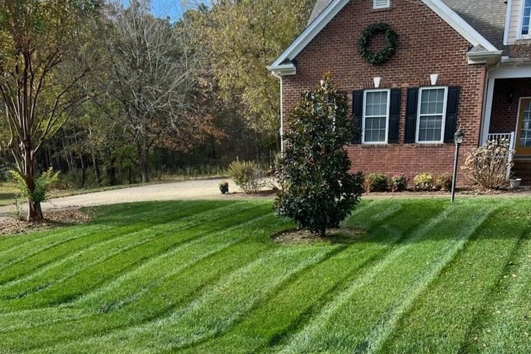 Residential lawn care service in Apex with healthy, well-maintained turf