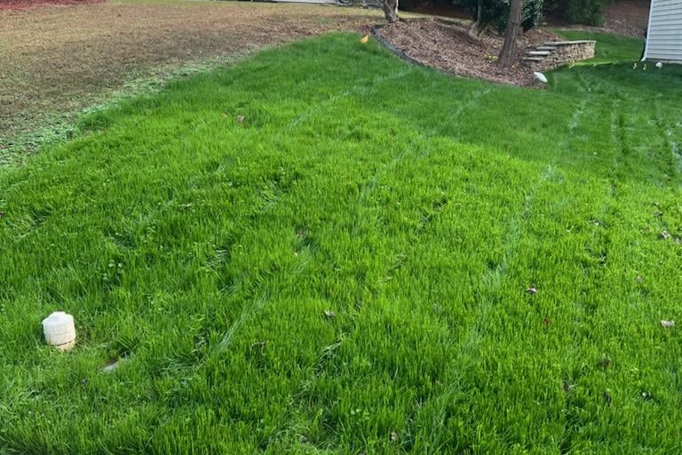 Well-kept residential lawn in Holly Springs after professional lawn treatment services