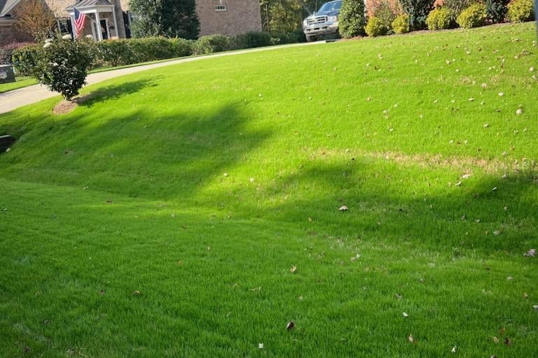 Beautiful residential lawn in Fuquay-Varina with thick grass and clean edges