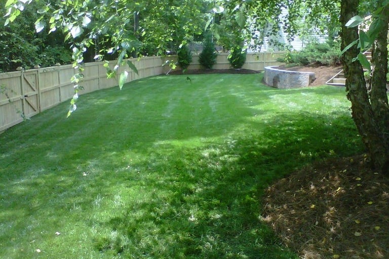 Healthy green residential lawn maintained by local lawn care experts in Cary