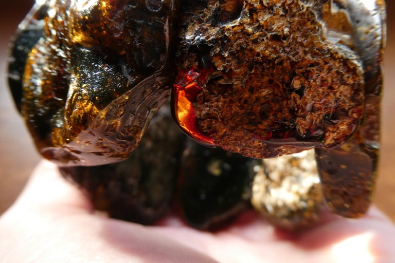 baltic amber bracelet