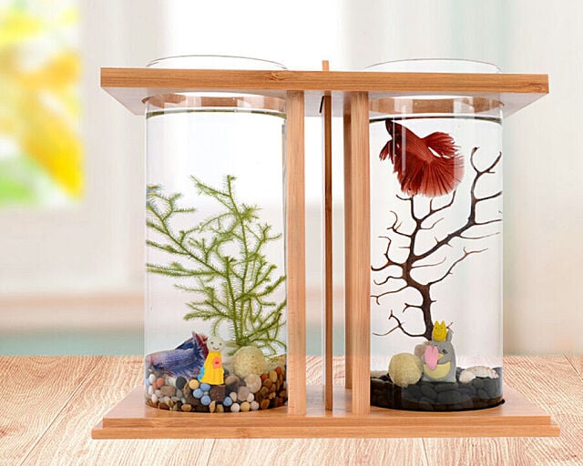 Small Desktop Fish Ecology Bamboo Aquarium Dual Glass Mini Fish Tank