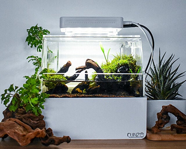 Mini Fish Tank LED Small Aquarium Betta Aquarium Office Desktop Deco