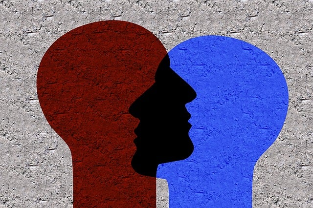 Dos cabezas de dos personas conectadas entre sí