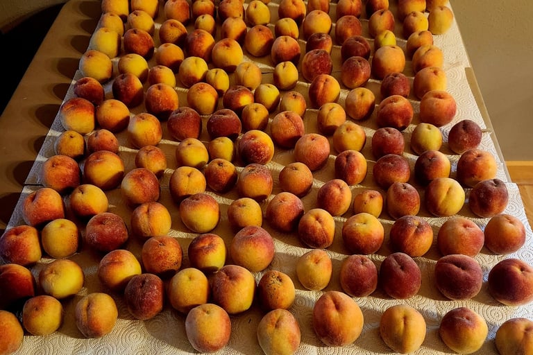 a table with a bunch of peaches 