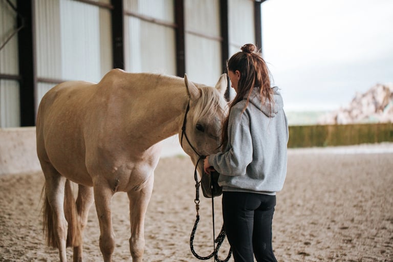 cheval anxieux respiration meditation cavaliere
