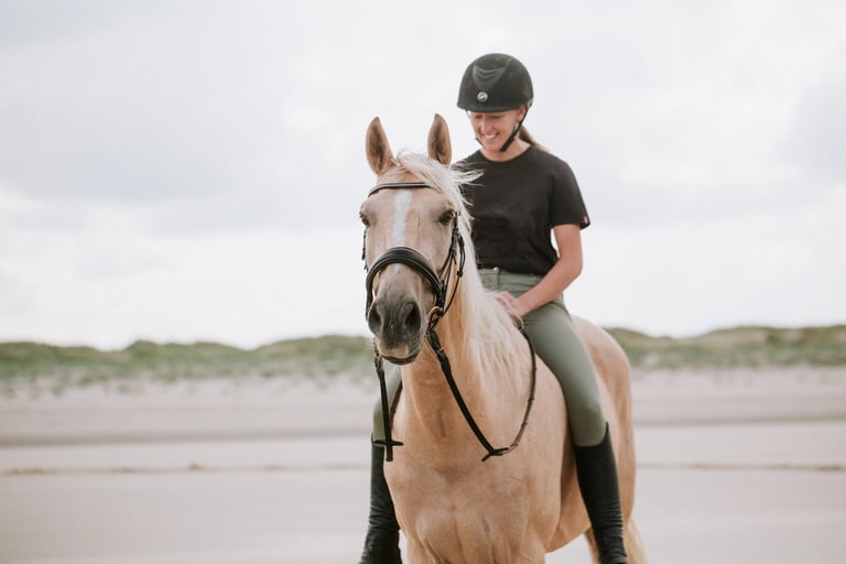 couple cavalier cheval la plage