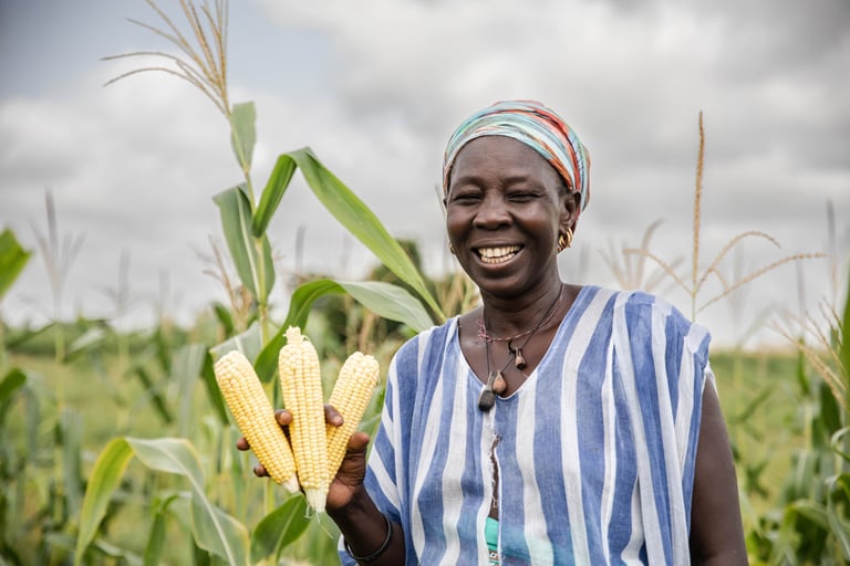 A good yield is crucial for smallholder farmers reliant on fields for food.
