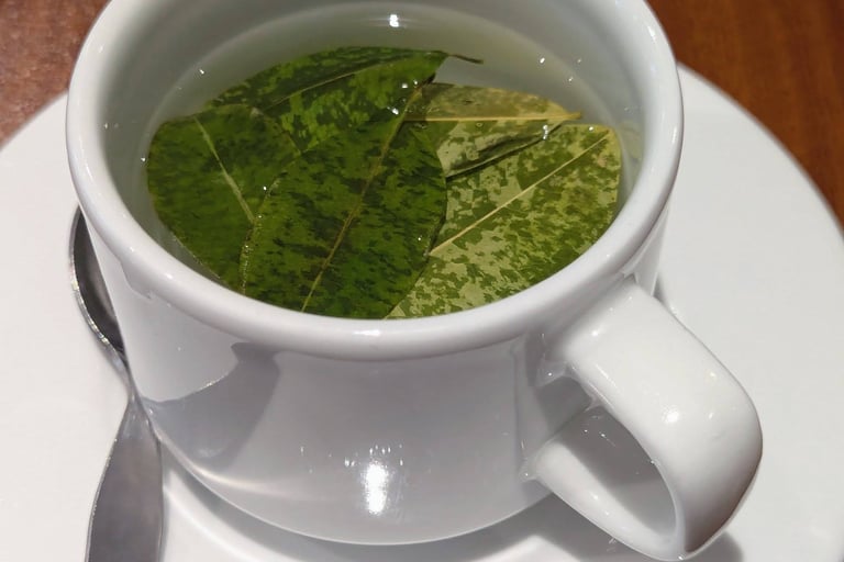 Coca Tea at Saska Hotel Boutique