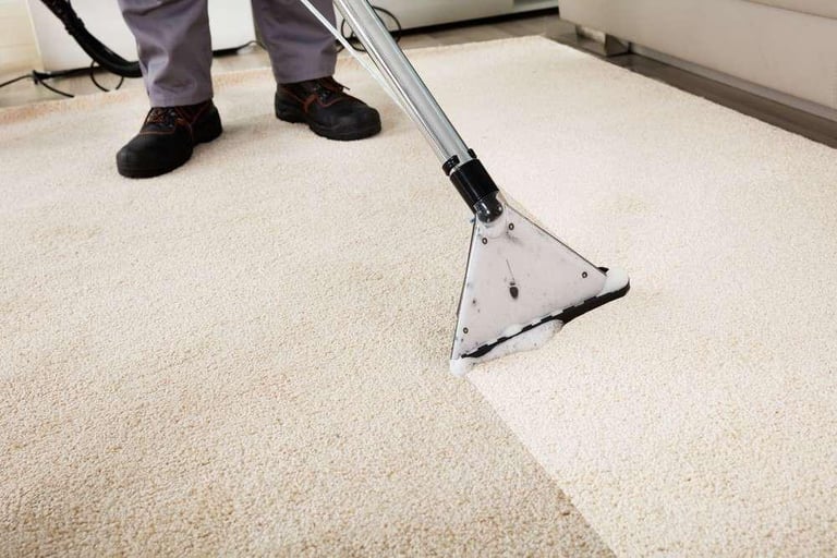 Professional Carpet Steam Cleaning Services
