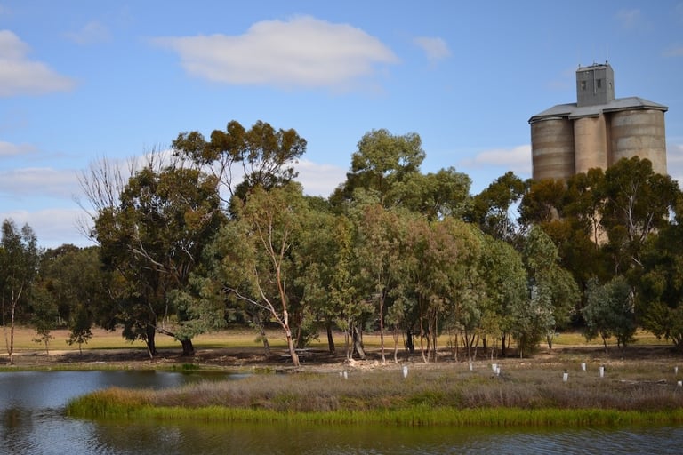 Northern Mallee landscape symbolising resilience and wellbeing