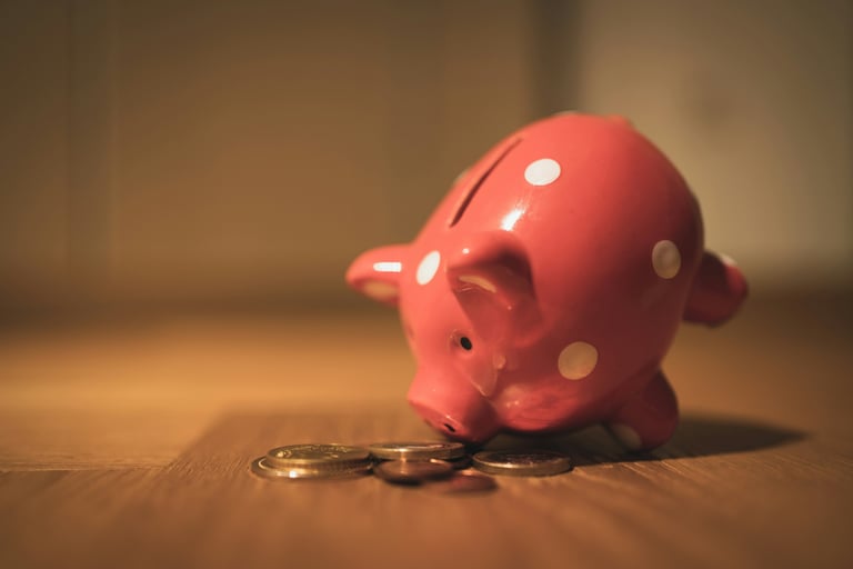 What is money piggy bank wondering what money is