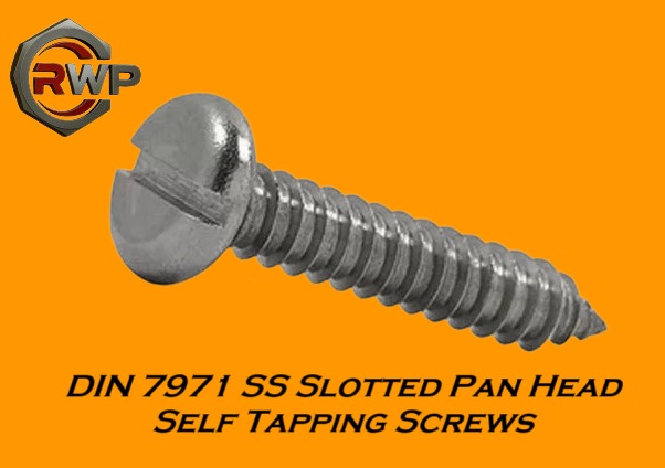 DIN 7971 Slotted Pan Head Tapping Screw
