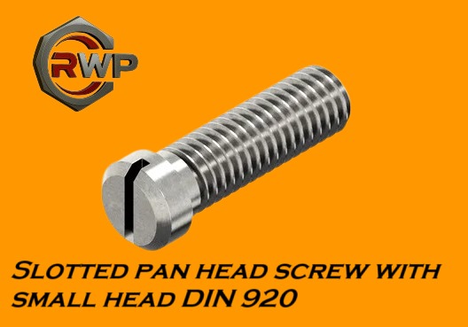 Slotted Screw DIN 920 Screw