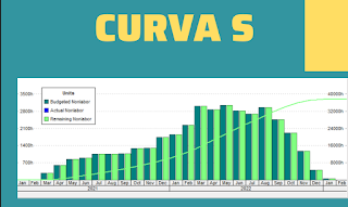 Curva S no Primavera P6