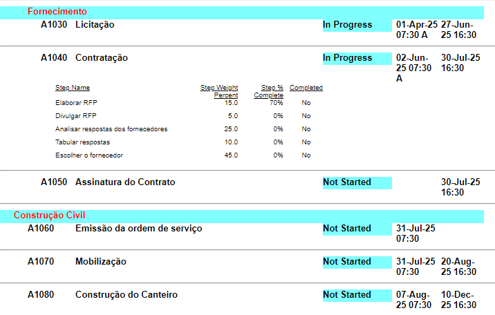 Relatório de Atividades com Steps no P6