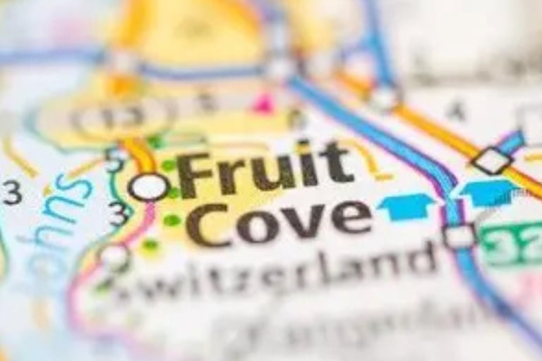 Fruit Cove FL Southside Outdoor Services