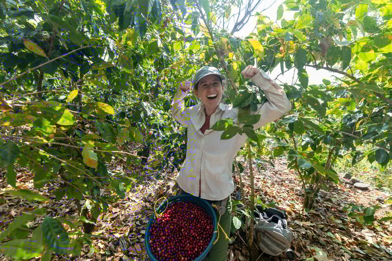 a woman in a white shirt and hat holding a bucket of organic, single-origin coffee beans
