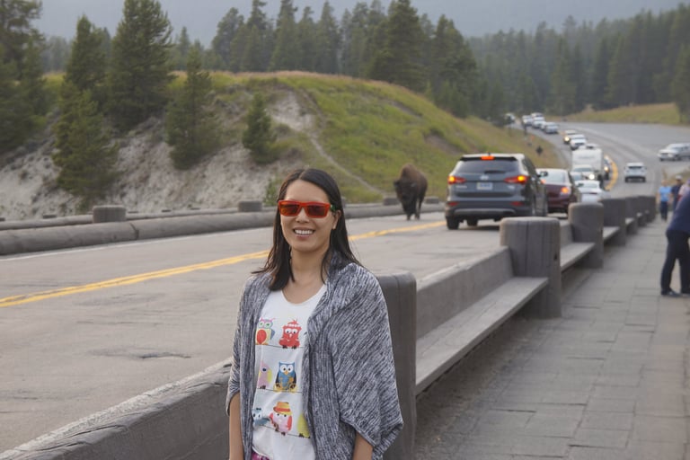 Bison slowing down traffic in Yellowstone