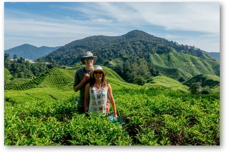 Cameron Highlands Malaysia