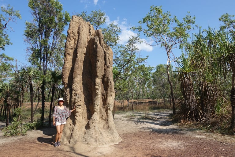 Janet beside the Termite mound
