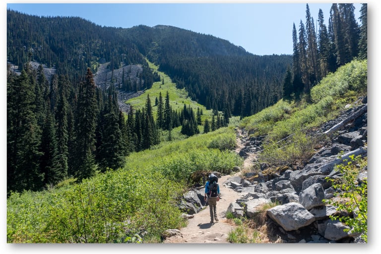 Joffre lake trail