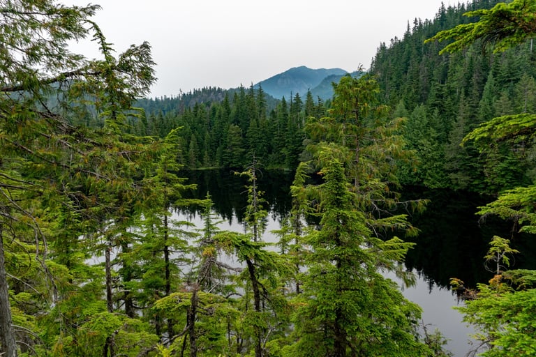 Overlooking Petgill Lake