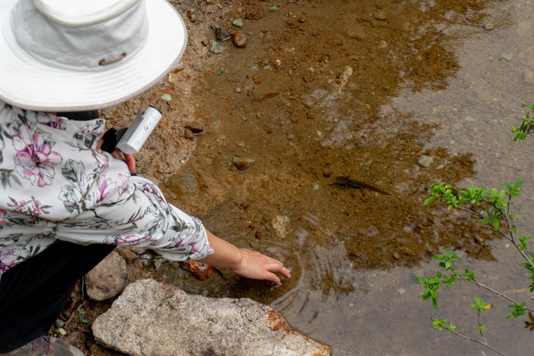 Janet spotting a newt in Petgill Lake