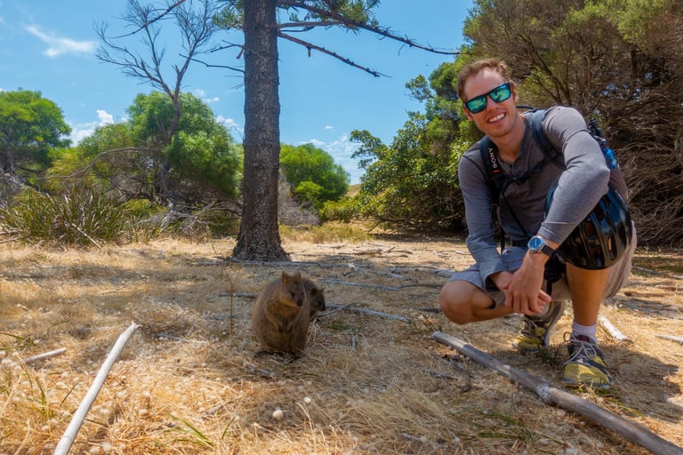 Some quokkas on Rottnest Island