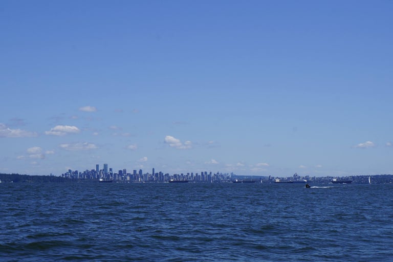 View of Vancouver from the water