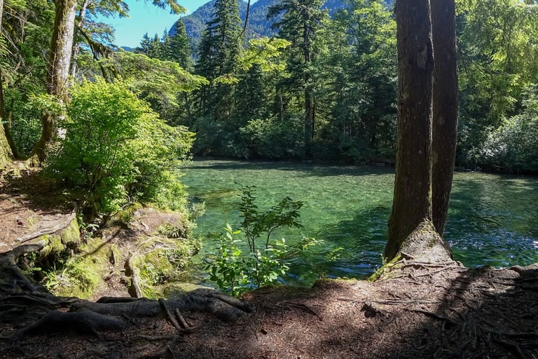 Trail along the riverbank