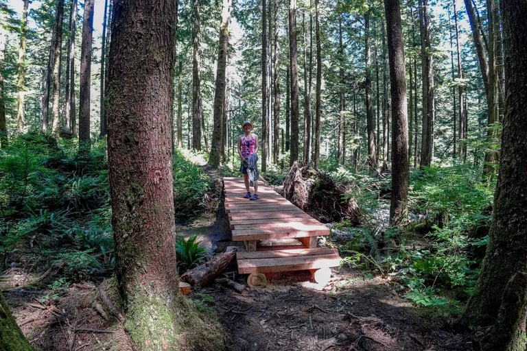 Wood platforms on the trail