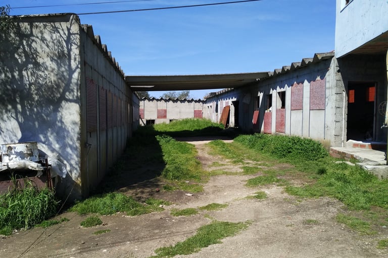 a dirt road with a bridge over a road